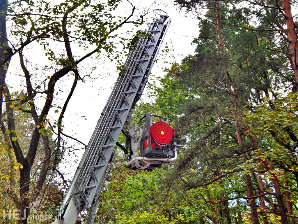 Sztormowa Ustka. Strażacy mieli trochę pracy