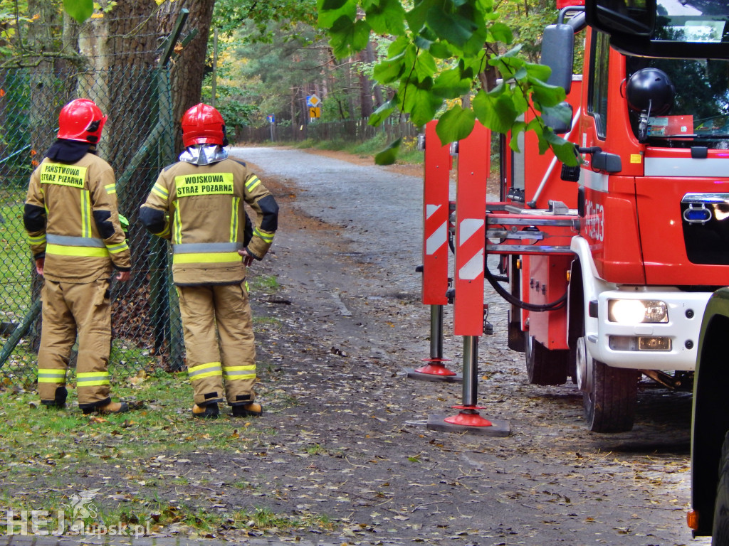 Sztormowa Ustka. Strażacy mieli trochę pracy