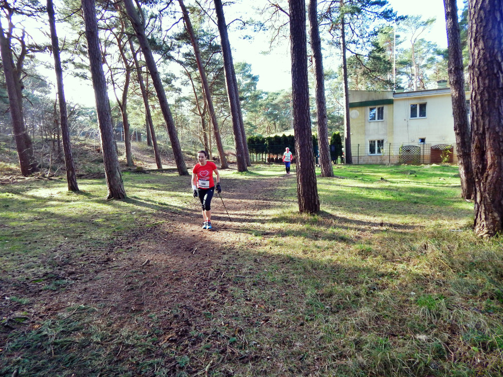 II Nadmorskie Mistrzostwa Nordic Walking [FOTO]