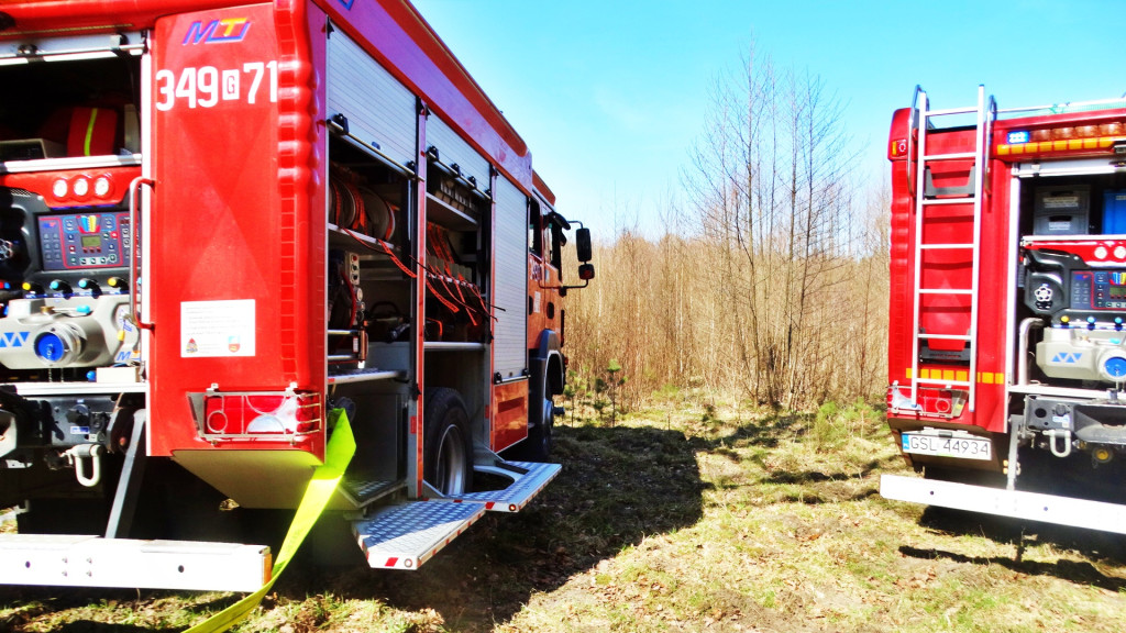 Strażacy ćwiczyli walkę z pożarem lasu [FOTO]