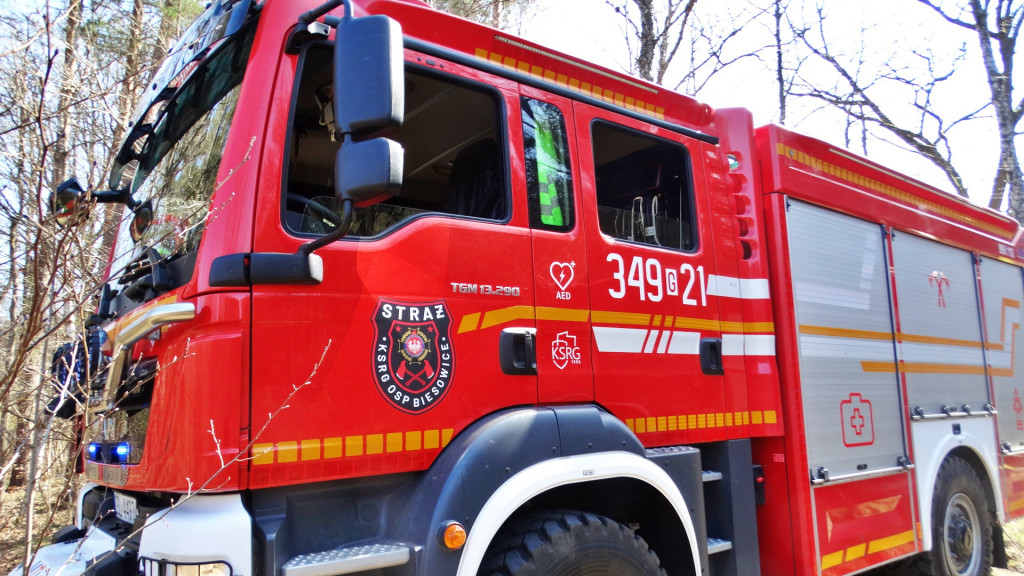 Strażacy ćwiczyli walkę z pożarem lasu [FOTO]