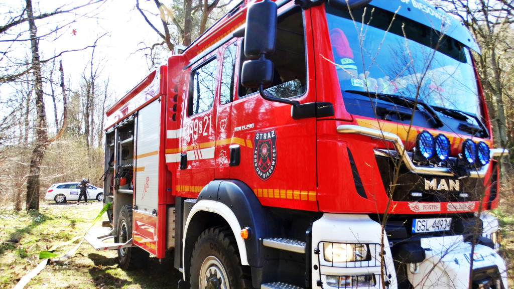 Strażacy ćwiczyli walkę z pożarem lasu [FOTO]