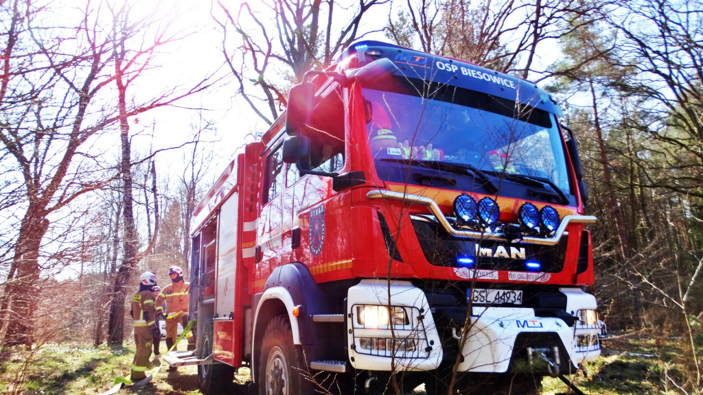 Strażacy ćwiczyli walkę z pożarem lasu [FOTO]