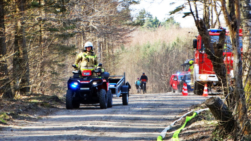 Strażacy ćwiczyli walkę z pożarem lasu [FOTO]