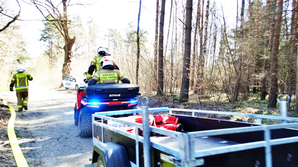 Strażacy ćwiczyli walkę z pożarem lasu [FOTO]
