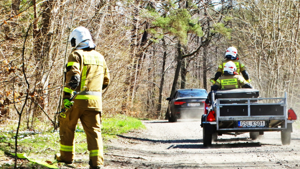Strażacy ćwiczyli walkę z pożarem lasu [FOTO]