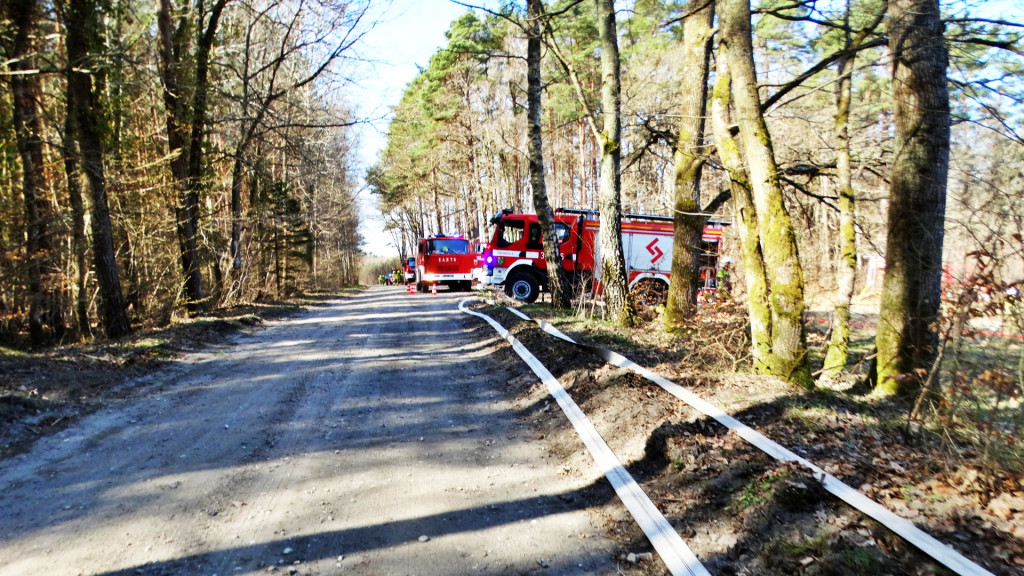 Strażacy ćwiczyli walkę z pożarem lasu [FOTO]