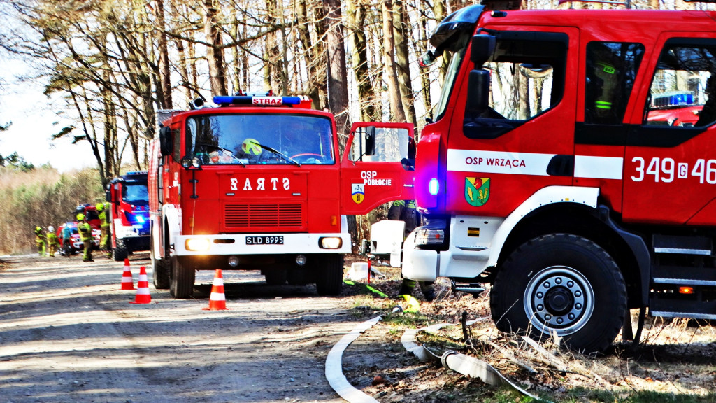 Strażacy ćwiczyli walkę z pożarem lasu [FOTO]