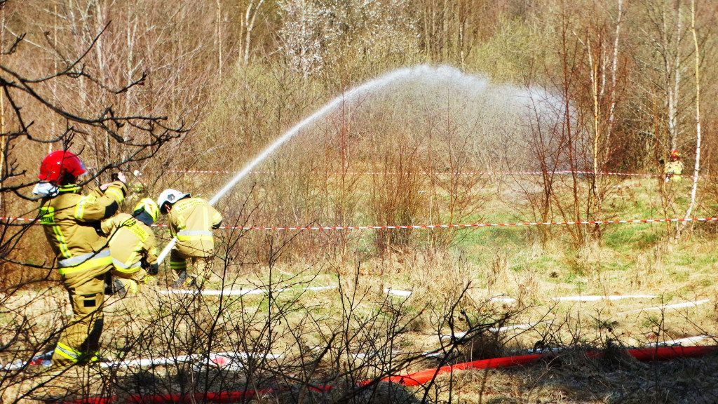 Strażacy ćwiczyli walkę z pożarem lasu [FOTO]