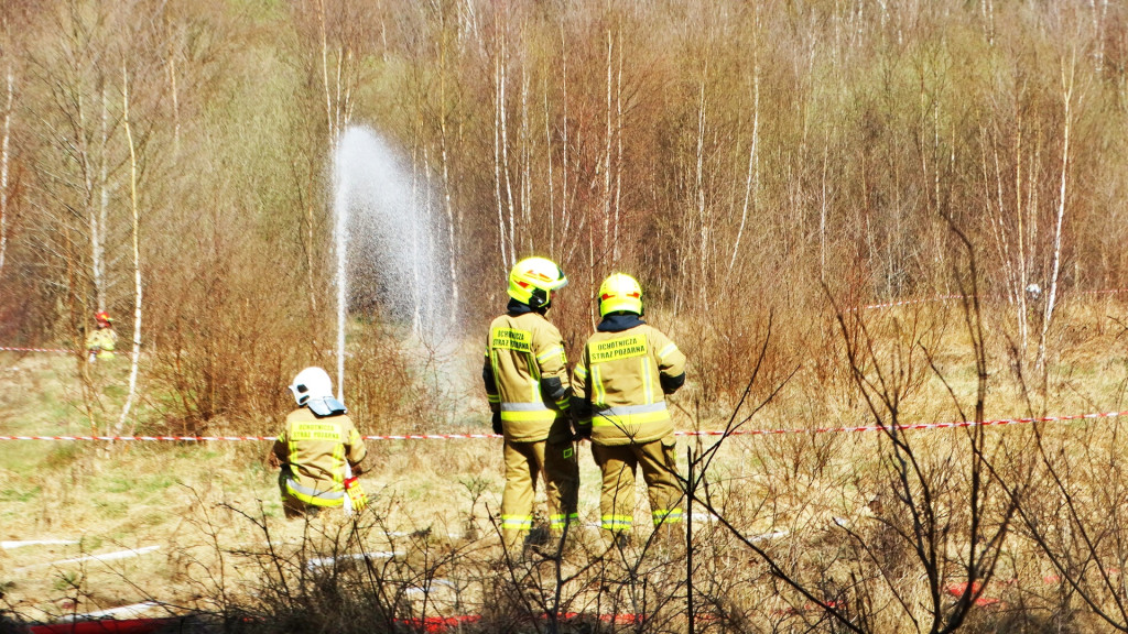Strażacy ćwiczyli walkę z pożarem lasu [FOTO]