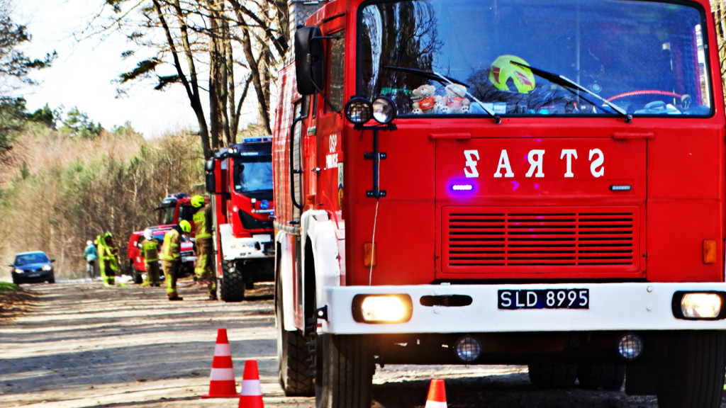 Strażacy ćwiczyli walkę z pożarem lasu [FOTO]