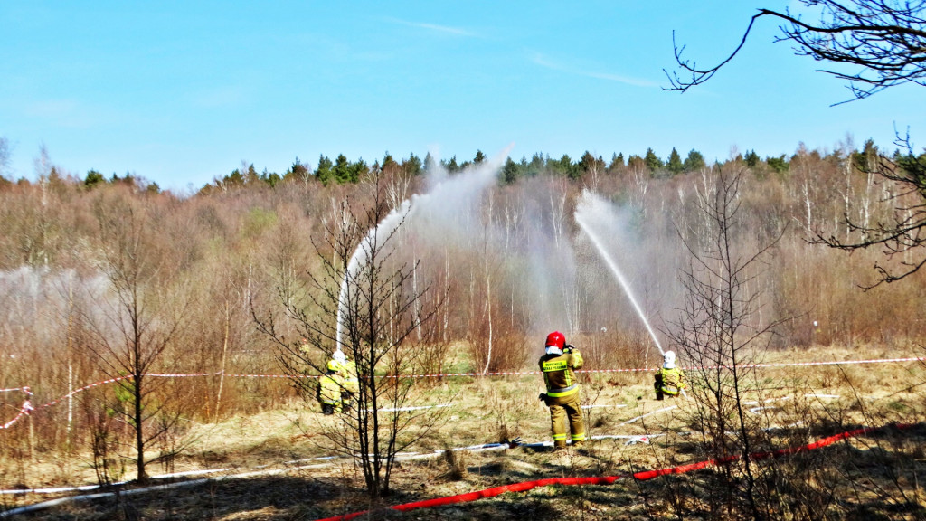 Strażacy ćwiczyli walkę z pożarem lasu [FOTO]