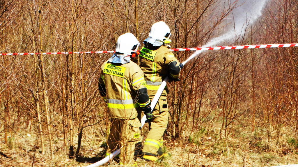 Strażacy ćwiczyli walkę z pożarem lasu [FOTO]
