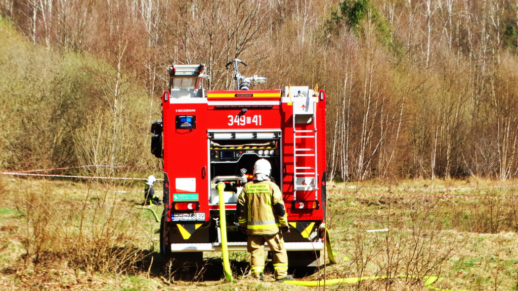 Strażacy ćwiczyli walkę z pożarem lasu [FOTO]