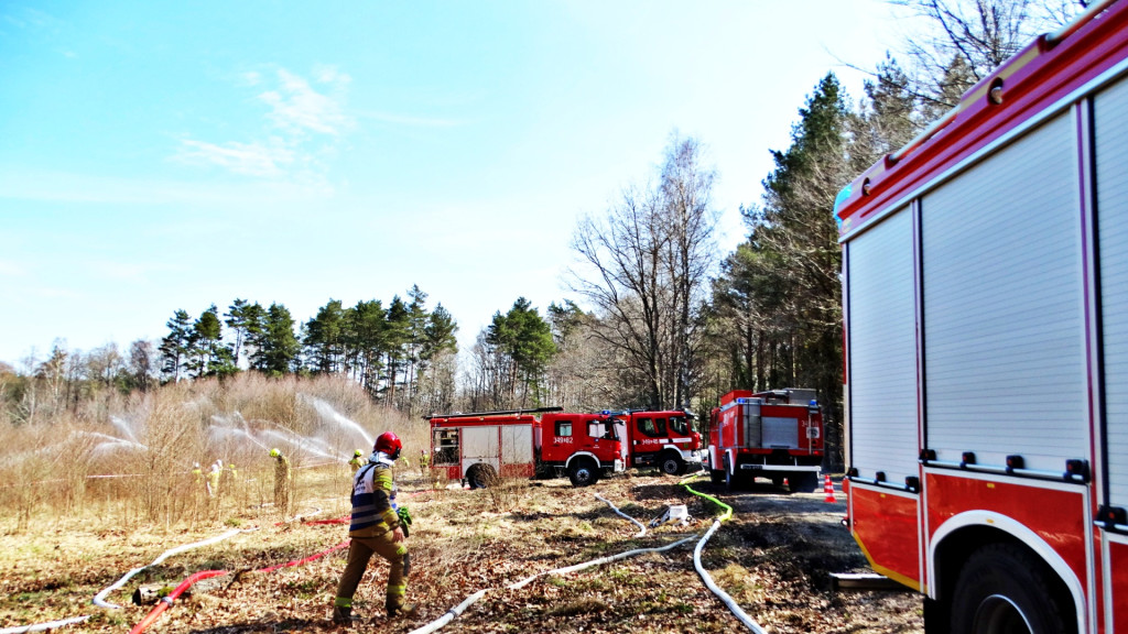 Strażacy ćwiczyli walkę z pożarem lasu [FOTO]
