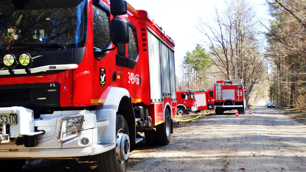 Strażacy ćwiczyli walkę z pożarem lasu [FOTO]