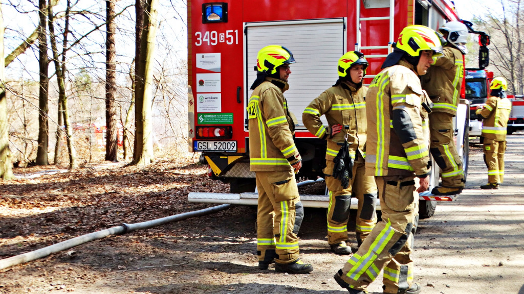 Strażacy ćwiczyli walkę z pożarem lasu [FOTO]