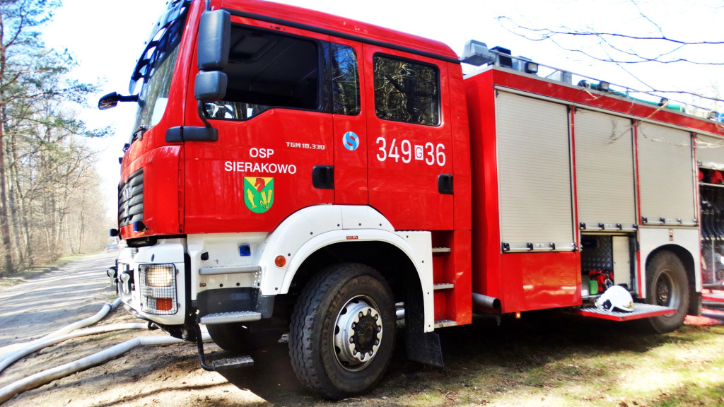 Strażacy ćwiczyli walkę z pożarem lasu [FOTO]