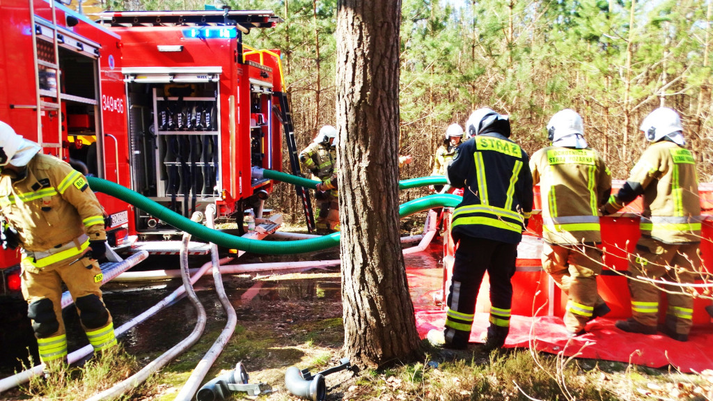 Strażacy ćwiczyli walkę z pożarem lasu [FOTO]