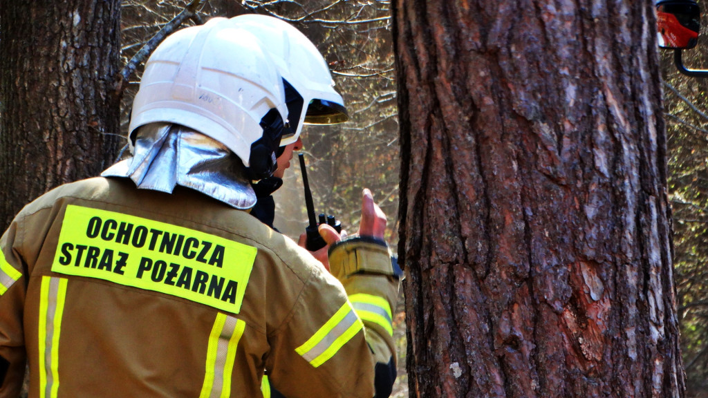 Strażacy ćwiczyli walkę z pożarem lasu [FOTO]