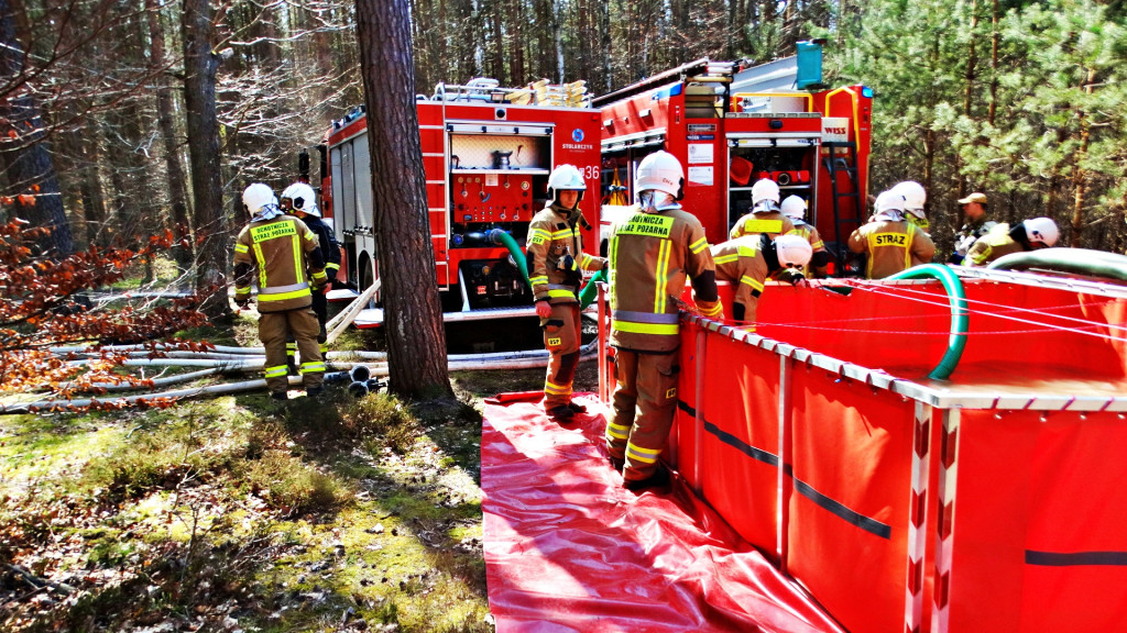 Strażacy ćwiczyli walkę z pożarem lasu [FOTO]