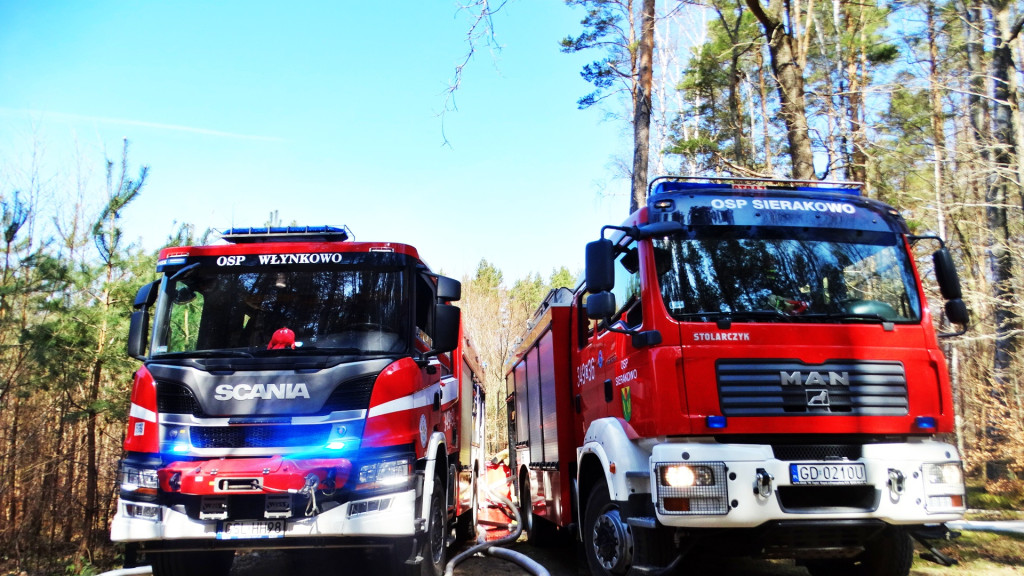 Strażacy ćwiczyli walkę z pożarem lasu [FOTO]