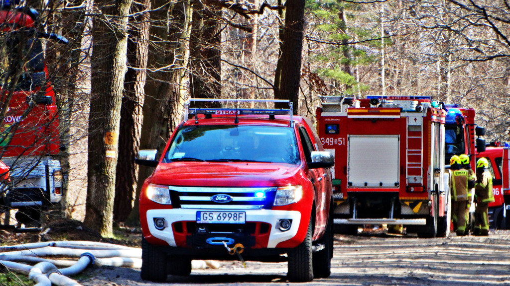 Strażacy ćwiczyli walkę z pożarem lasu [FOTO]