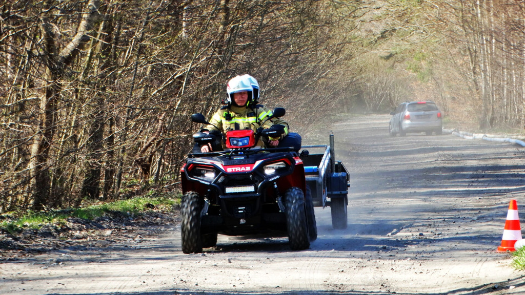 Strażacy ćwiczyli walkę z pożarem lasu [FOTO]