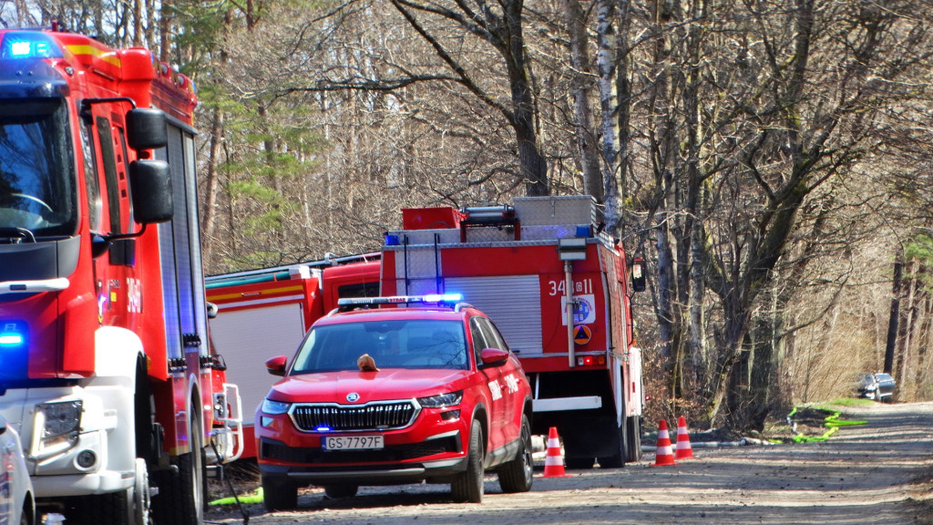 Strażacy ćwiczyli walkę z pożarem lasu [FOTO]