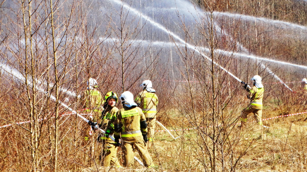 Strażacy ćwiczyli walkę z pożarem lasu [FOTO]