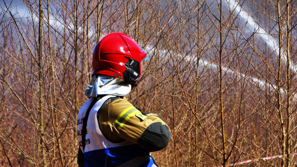 Strażacy ćwiczyli walkę z pożarem lasu [FOTO]