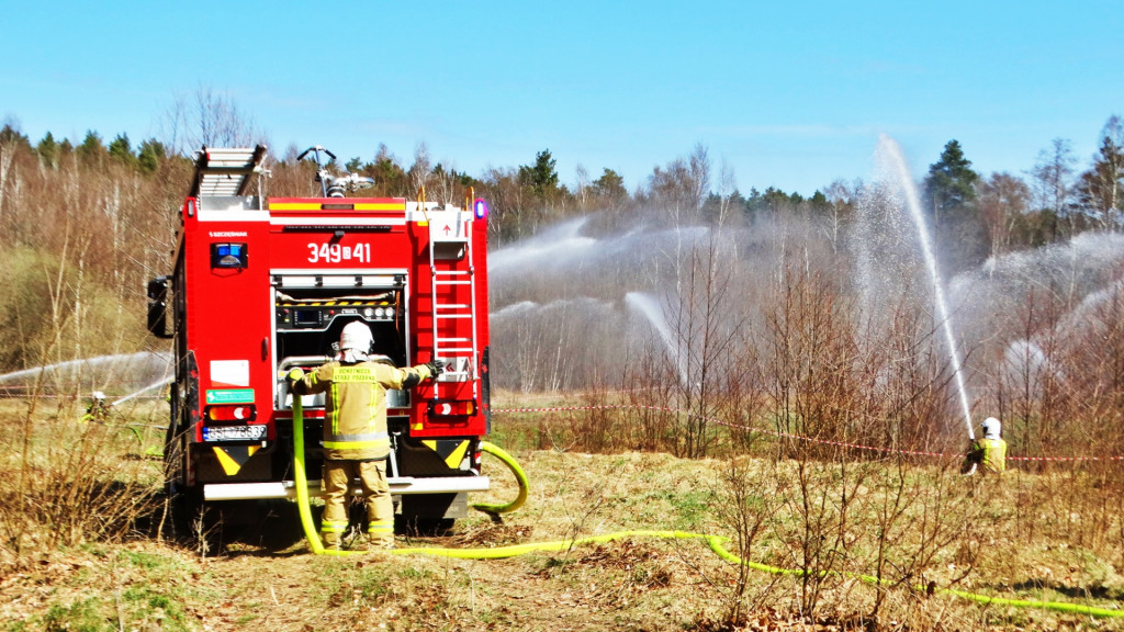 Strażacy ćwiczyli walkę z pożarem lasu [FOTO]
