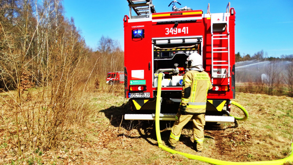 Strażacy ćwiczyli walkę z pożarem lasu [FOTO]