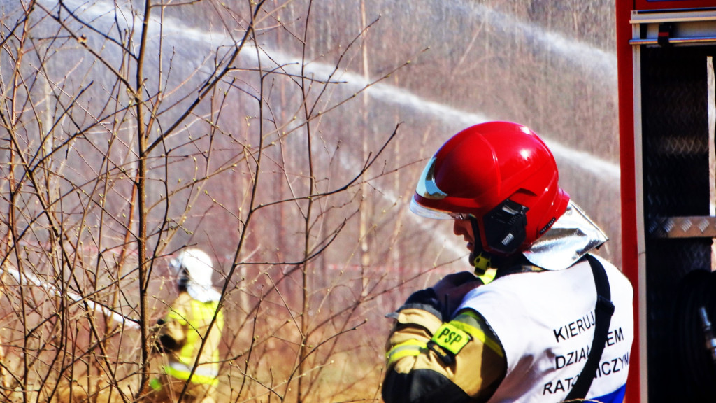 Strażacy ćwiczyli walkę z pożarem lasu [FOTO]