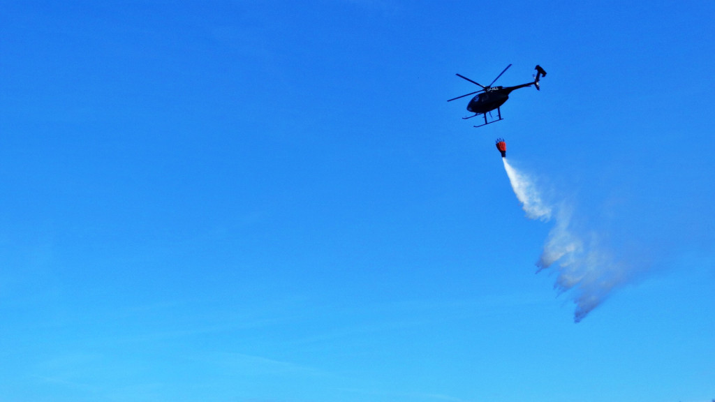 Strażacy ćwiczyli walkę z pożarem lasu [FOTO]