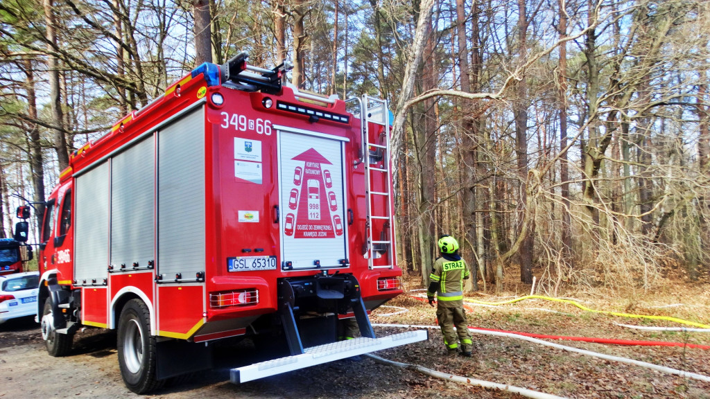 Strażacy ćwiczyli walkę z pożarem lasu [FOTO]