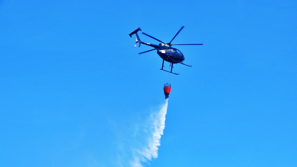 Strażacy ćwiczyli walkę z pożarem lasu [FOTO]