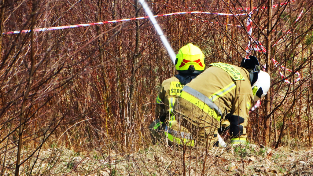 Strażacy ćwiczyli walkę z pożarem lasu [FOTO]