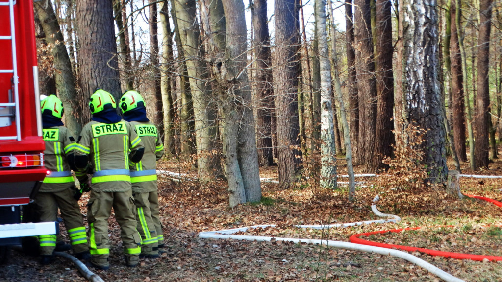 Strażacy ćwiczyli walkę z pożarem lasu [FOTO]