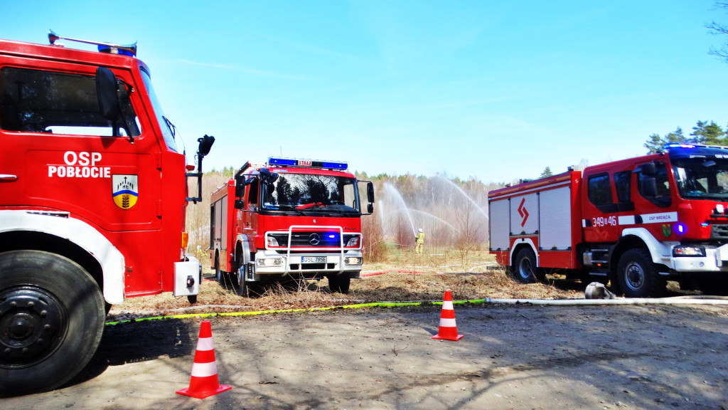 Strażacy ćwiczyli walkę z pożarem lasu [FOTO]