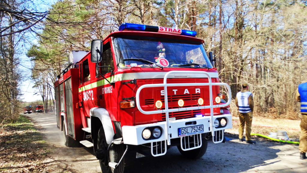 Strażacy ćwiczyli walkę z pożarem lasu [FOTO]