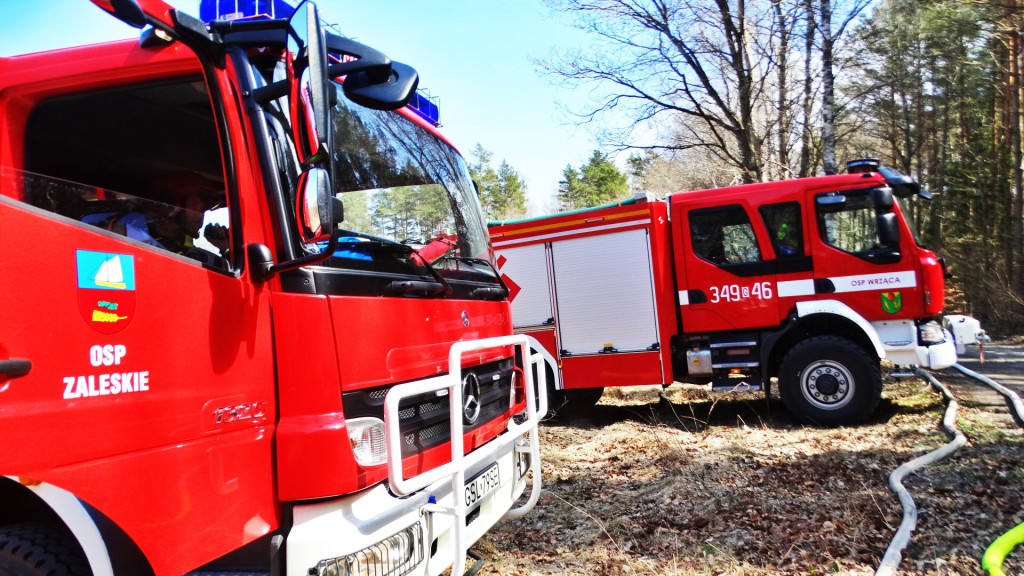 Strażacy ćwiczyli walkę z pożarem lasu [FOTO]