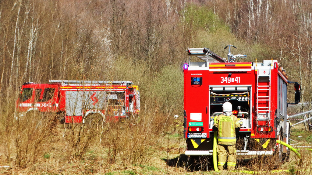 Strażacy ćwiczyli walkę z pożarem lasu [FOTO]