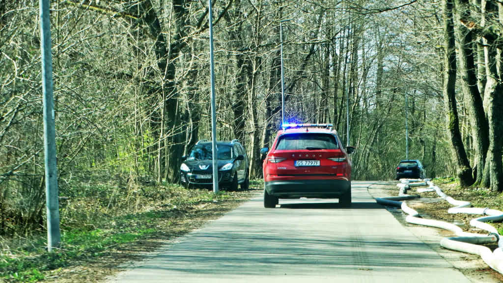 Strażacy ćwiczyli walkę z pożarem lasu [FOTO]