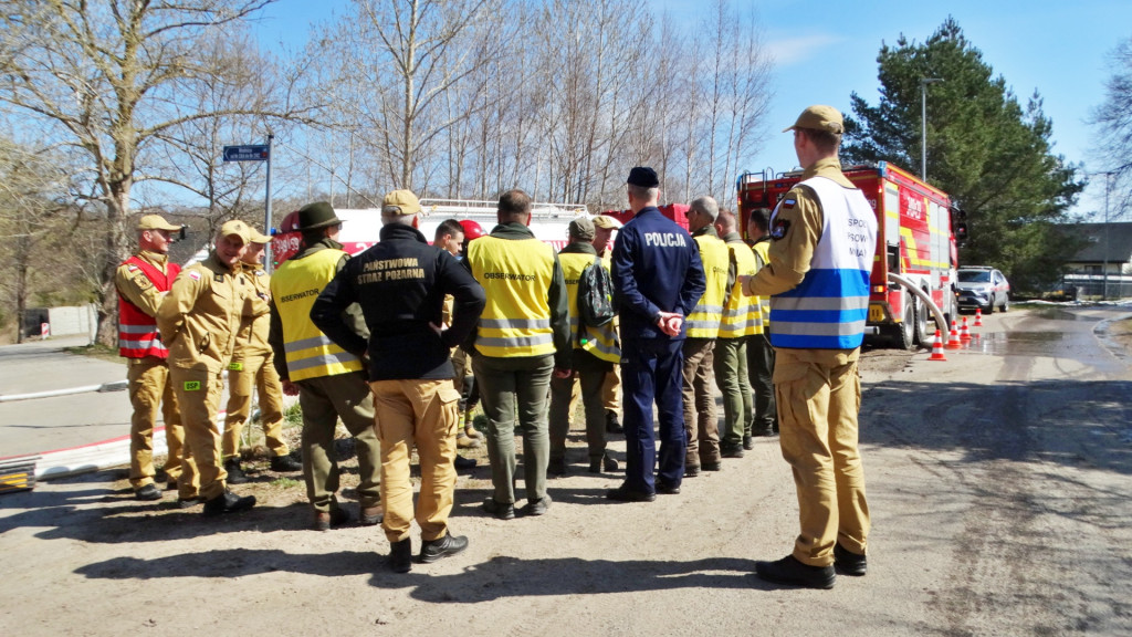 Strażacy ćwiczyli walkę z pożarem lasu [FOTO]