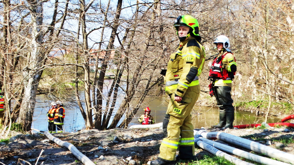 Strażacy ćwiczyli walkę z pożarem lasu [FOTO]