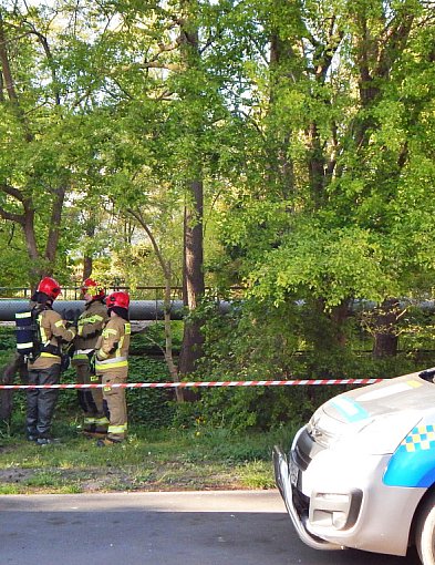 NOWE FAKTY w sprawie ciała znalezionego w Ustce! TO ZAGINIONY MĘŻCZYZNA!? -7915