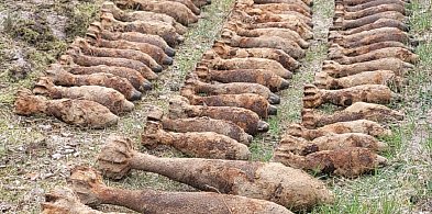 KILKASET niewybuchów w lesie! Interweniowali SAPERZY!-7985