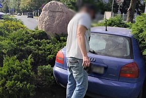Kraksa na ul. Westerplatte. 45-latek WJECHAŁ w znak i żywopłot!-9088
