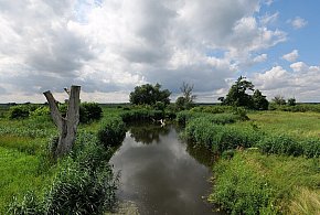 Co dalej z nowym parkiem narodowym? Minister klimatu zdradza plan po wecie-10104